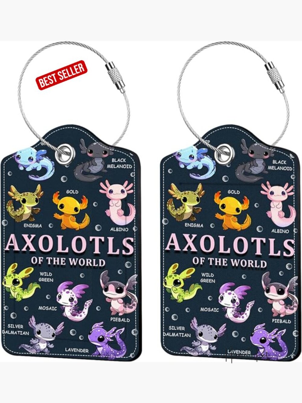 2 Pcs Leather Luggage Tags with Privacy Cover & Steel Loop